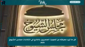 كل ما تريد معرفته عن تصويت المصريين بالخارج في انتخابات مجلس الشيوخ 2025